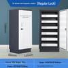Lieve Magnetic Shielding Data Storage Cabinet