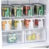 Refrigerator Food Storage Box with Handle