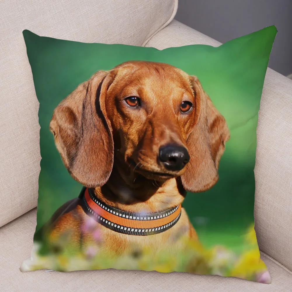 Mini Dackel Hund Kissenbezug Dekor Haustier Tier Kissenbezüge Superweicher Plüsch Kissenbezug für Sofa Zuhause Kinderzimmer 45x45cm
