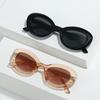Winter Oval Sunglasses, Retro Simple Round Glasses, Personalized Versatile Y2K Sunglasses