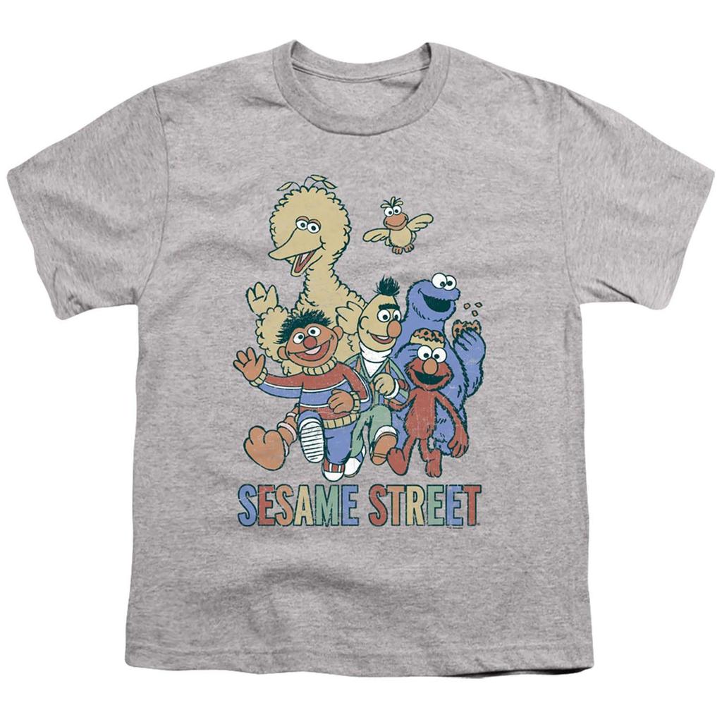 Sesame Street Childrens/Kids Colourful Group T-Shirt