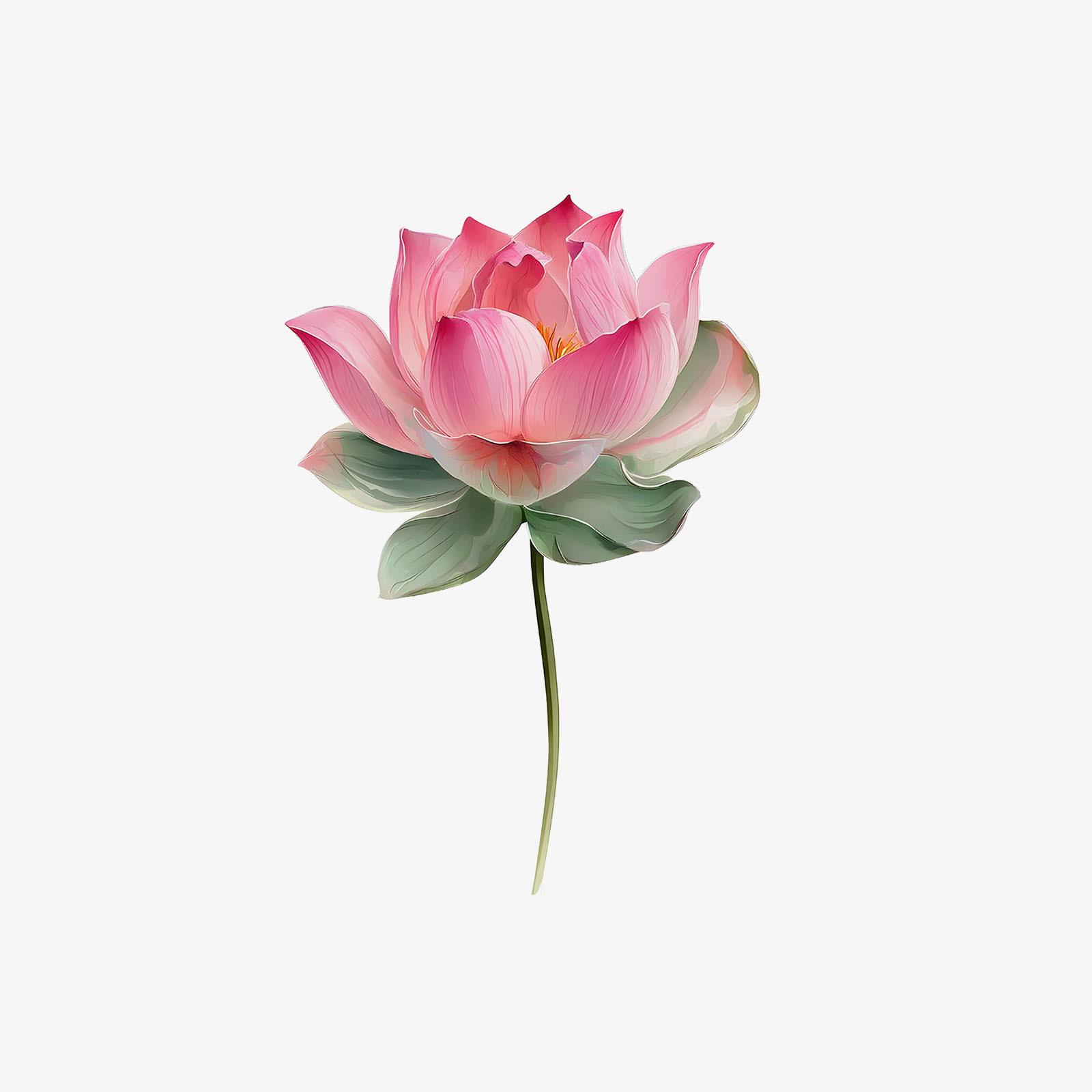 High Value, High Sense, Simple And Beautiful, Small Fresh Lotus Arm Tattoo Sticker 7*10CM