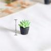 5PCS 1:12 Dollhouse Miniature Green Flower Plant Potted Plants Succulent Plants Home Decor