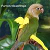 Random Adjustable Parrot Bird Harness Leash Set Anti-Bite Training Harness Parrots Outdoor Flying Rope