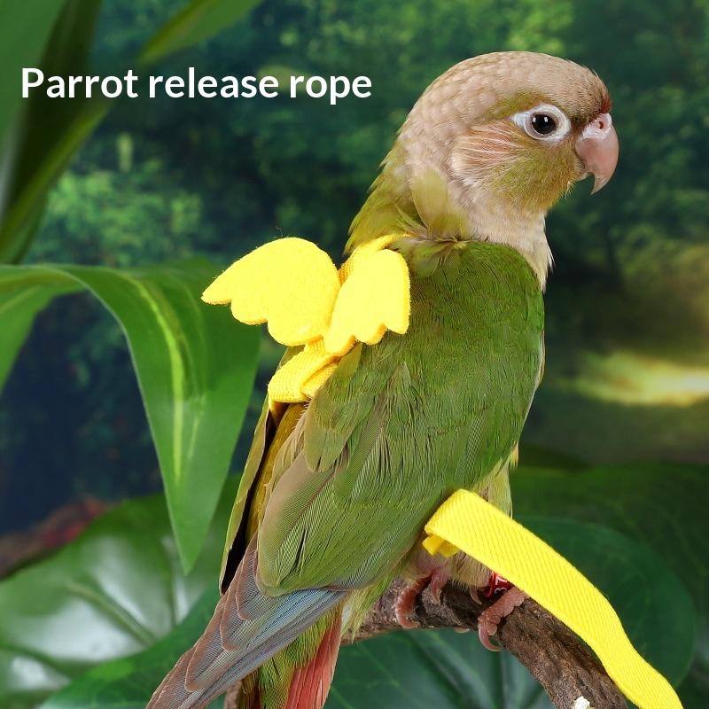 Random Adjustable Parrot Bird Harness Leash Set Anti-Bite Training Harness Parrots Outdoor Flying Rope