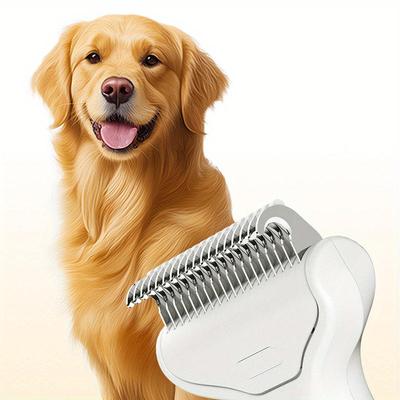 Köpek – Köpek bakım ürünleri