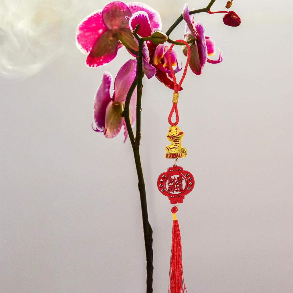 5Pcs Year of The Snake Wooden Tassel Pendant Hanging Ornaments Chinese New Year Car Rear View Mirror Lucky Charm