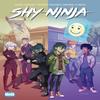Shy Ninja by Adara Sanchez Hardback Book 9781643378633