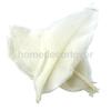 50Pcs Natural Magnolia Skeleton Leaf Leaves DIY Crafts Card Making Scrapbooking White