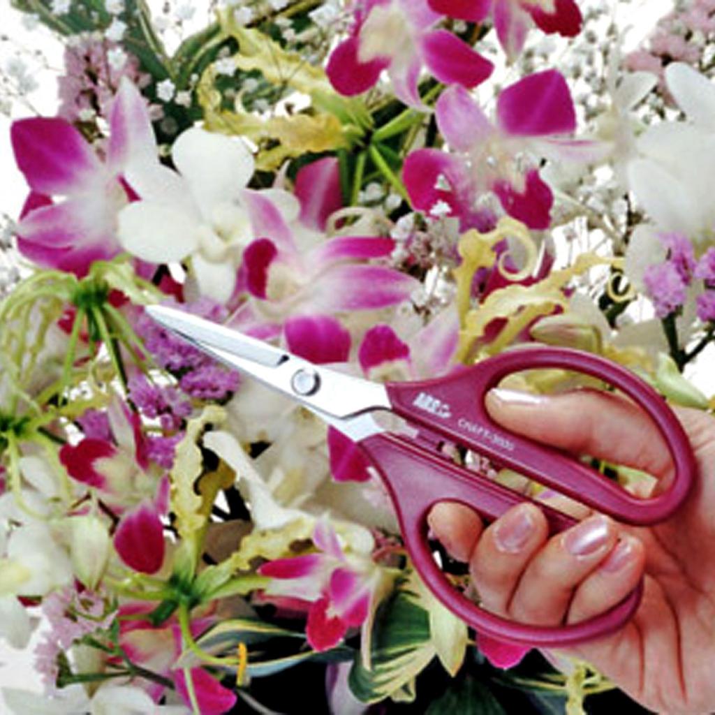 ARS Corporation ARS Craft ARS Nouveau Scissors, (Black) 3000-BK