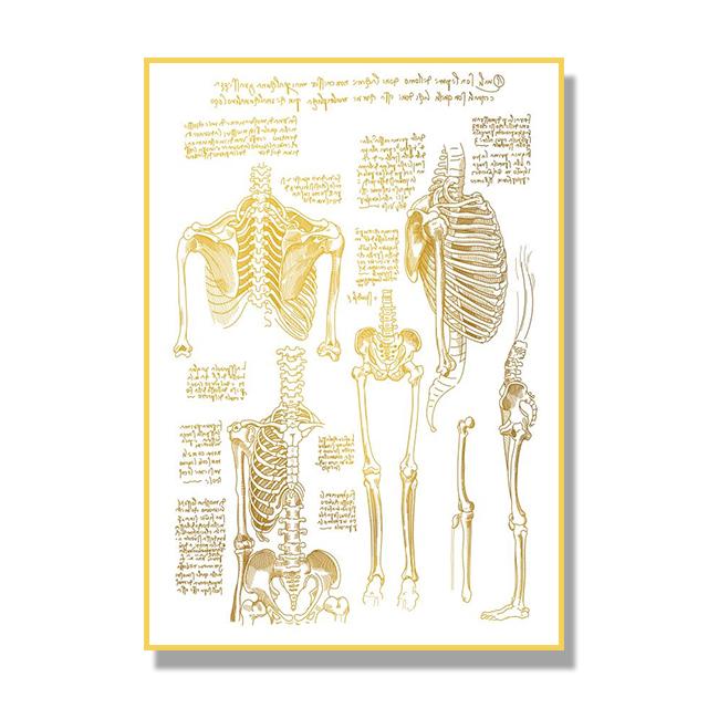 Human Organ Bone Tissue Structure Poster Golden Nordic Retro Style Canvas Painting Living Room Wall Art Prints Modern Home Decor No Frame
