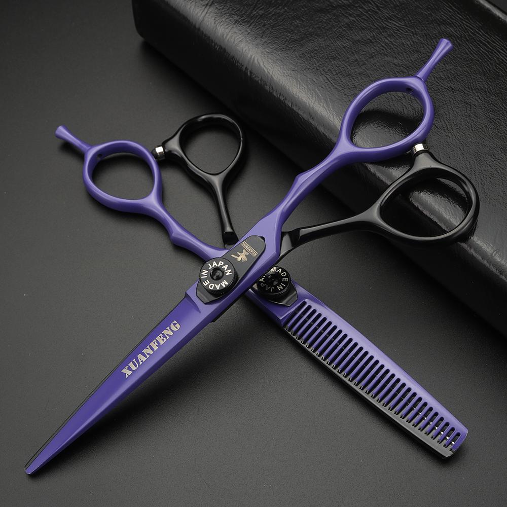 Spring Clip Screw Double Color Hair Scissors 6 Inch 9cr18 Steel Barber Cutting Scissors and Thinning Scissors
