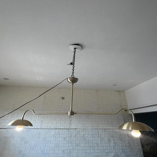 Aldorno Linear Shade Pendant Chandelier Elegant Lighting Fixture for Dining Room or Living Room, Modern Stylish Hanging Light