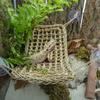Practical 1PC with Suction Cups Flexible Soft Crabs House Reptile Hammock Geckos Mats Lizard Bed