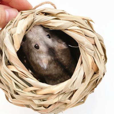 Hochwertiges Futter Handgewebtes Hamstergrasnest Hamsterspielzeug Tunnel Haustiergrasnest Grashaus Weich und hautfreundlich