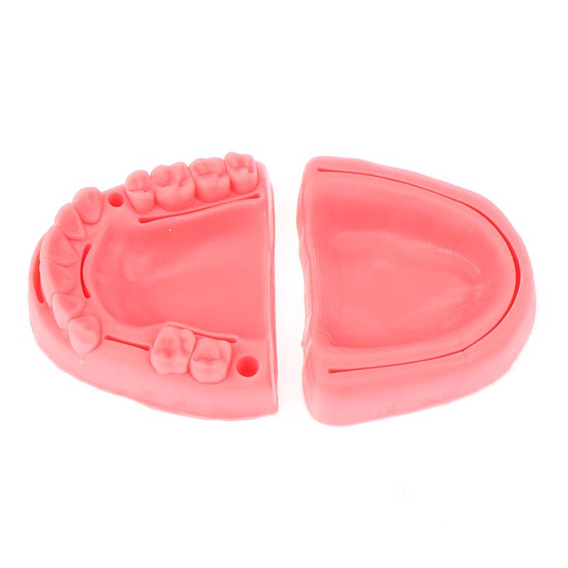 Teeth Gum Combination Model Silicone Material Training Suture Module