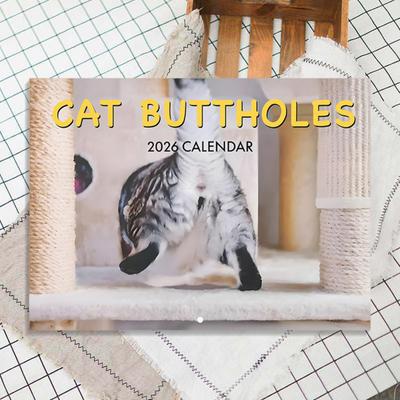 2026 Katt Röv Hål Kalender 2026 Rolig Katt 12 Månaders Väggkalender Jan till Dec Högupplöst Kattfotografi