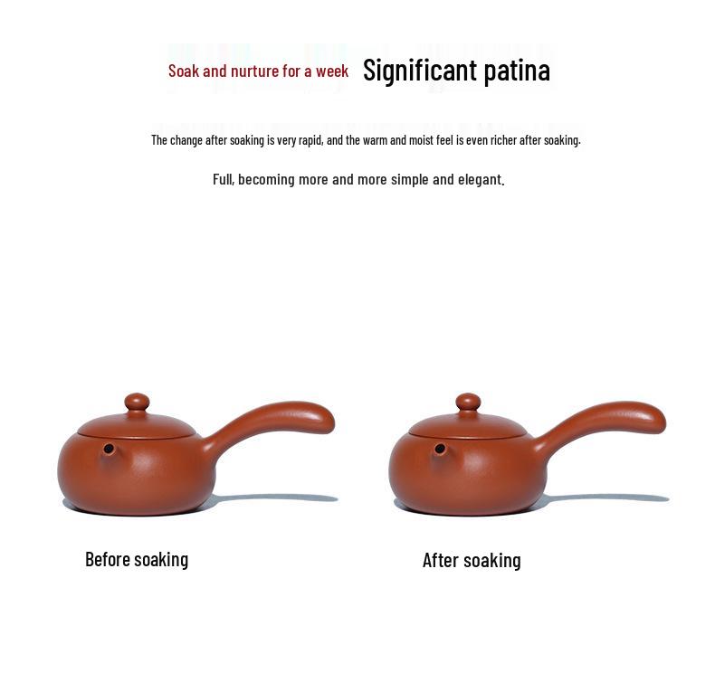 Tangyu Zisha Side Handle Xishi Teapot - Original Yixing Clay Kung Fu Teaware