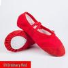Children's Soft Sole Dance & Yoga Shoes for Girls and Adults