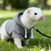 Elastic Ferret Hoodie Cozy Soft Pet Striped Sweatshirt Stylish Drawstring Thick Fleece Ferret Pullover Pet Supplies