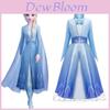 Rochie Elegantă Fată Frozen 2 Elsa Regina Zăpezii Prințesă Costum Cosplay Pentru Copii 3-10 Ani