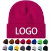 Men Women Unisex Knitted Beanie Hats Winter Soft Warm Skull Cap Fashion Outdoor Casual 3D Embroidery Beach Custom Logo 100%