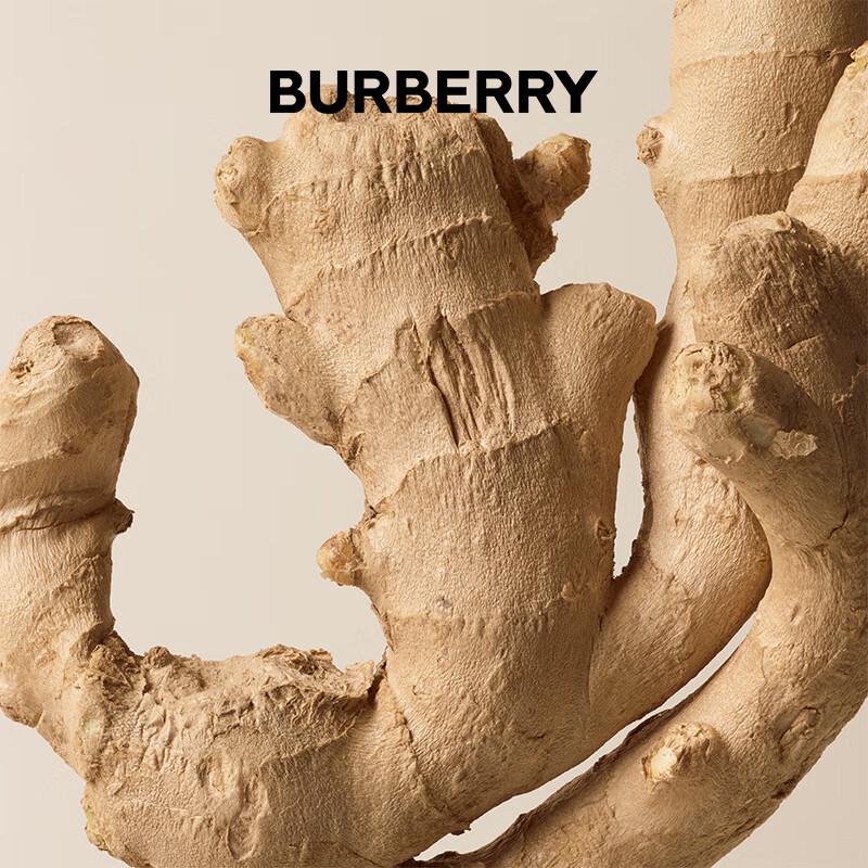 Burberry Fragrances for Men and Women