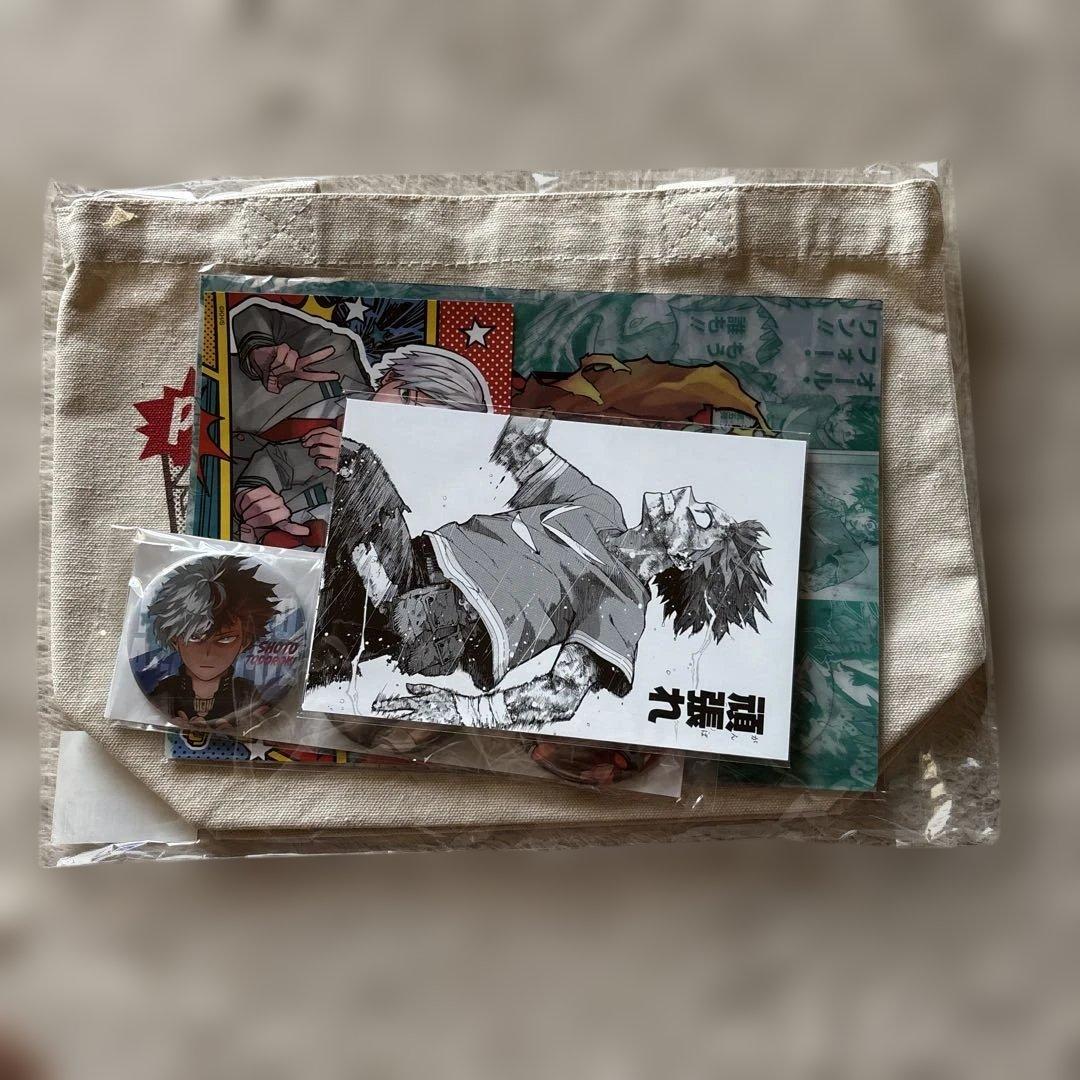 

My Hero Academia Special Set