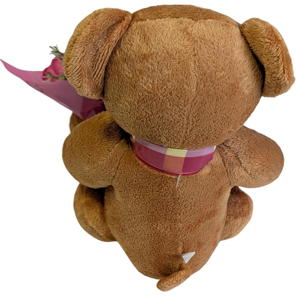 Q-FLA Plush Teddy Bear with Colorful Message, Recording Function, Talking Bear, Fluffy, Perfect Gift for Celebrations, 767180