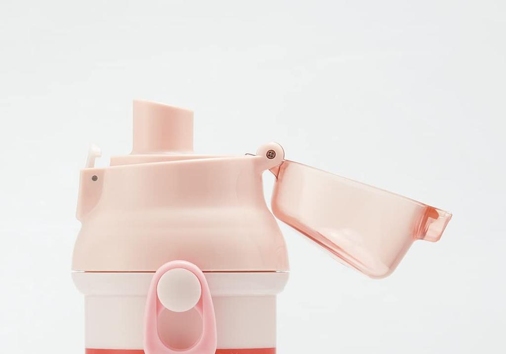 Skater mofusand Water Bottle, 480ml, for Children, Plastic, Made in Japan, PSB5SANAG-A