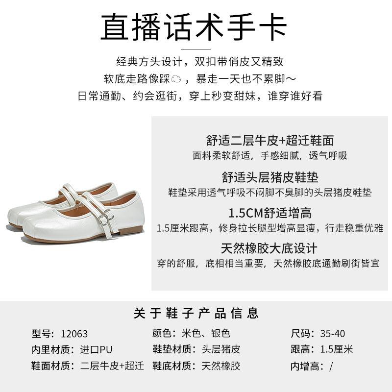 Square Head Leather Mary Jane Shoes Women's New Autumn Temperament Fairy Silver Single Shoes High-end Women's Shoes