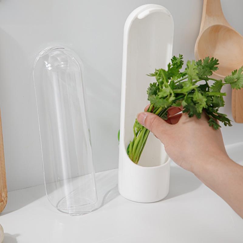 Eco-Friendly Fresh-Keeping Herb and Vegetable Box with Anti-Crush Technology for Coriander