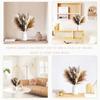 80Pieces Natural Dried Flowers Bouquet Home Decoration  Pampas Reeds Grass Rabbit Tails Bouquet Boho Home Arrangements