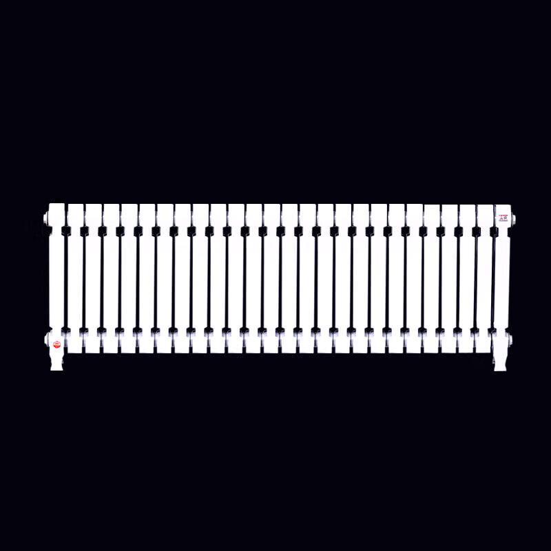 Lixing TZY2-6-8/62B Cast Iron Radiator