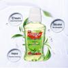 Colgate Fresh Tea Mint Mouthwash