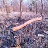 Ally Multifunctional Camping & Survival Axe