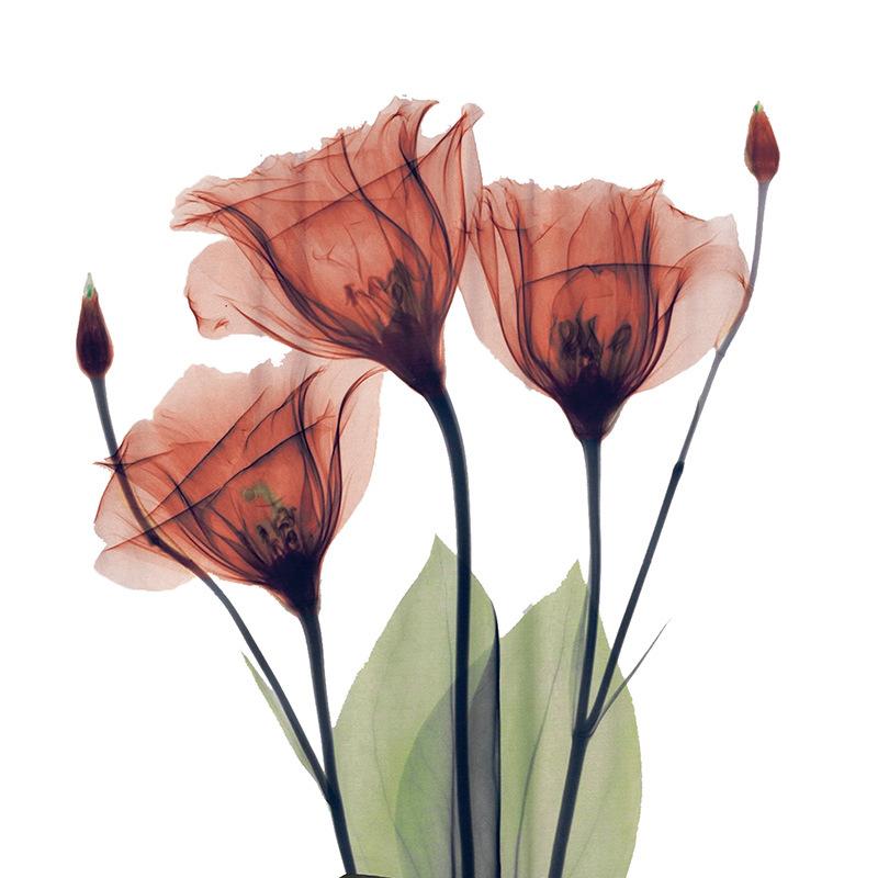 Flower 3D Digital Printing Shower Curtain Bathroom Without Punching Four-Piece Bathroom Curtain Shower Curtain Bathroom Curtain