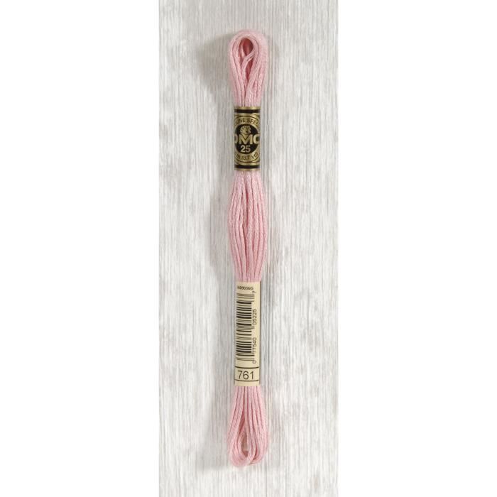 DMC Fil Mouliné 761