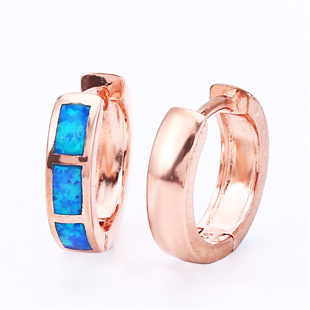 New Japanese and Korean Light Luxury Geometric Earrings with Round Temperament Versatile Small Accessories