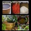 Traditional Terracotta Water Storage Pot