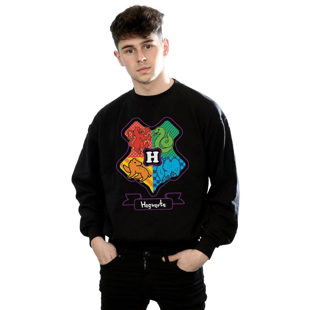 Harry Potter Mens Hogwarts Junior Crest Sweatshirt