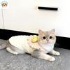 Cat Clothes Autumn and Winter Velvet Warm Vest Gold Gradient Puppet British Short Kitten Pet Dog Winter Cotton Coat Pet Supplies