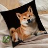 1 Shiba Inu Pillowcase | Realistic Dog Design, Soft Polyester Material, Printed, 45.01 Cm X 45.01 Cm, Zipper Closure, Machine Washable, Suitable for S