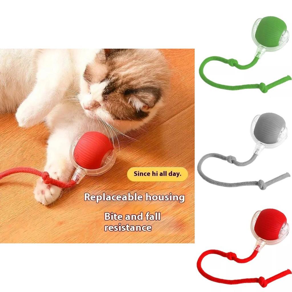 Interactive Silicone Cat Chew Ball For Fun Playful Moments And Endless Entertainment For Pets