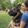Prevent Chewing Anti Bite Dog Mesh Muzzle Breathable Soft Dog Mouth Guard Adjustable Prevent Barking Puppy Grooming Sessions