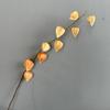 83cm Artificial Coco Pod Branches Real Touch Fake Plants Lantern Fruit Branch  Indoor Outdoor