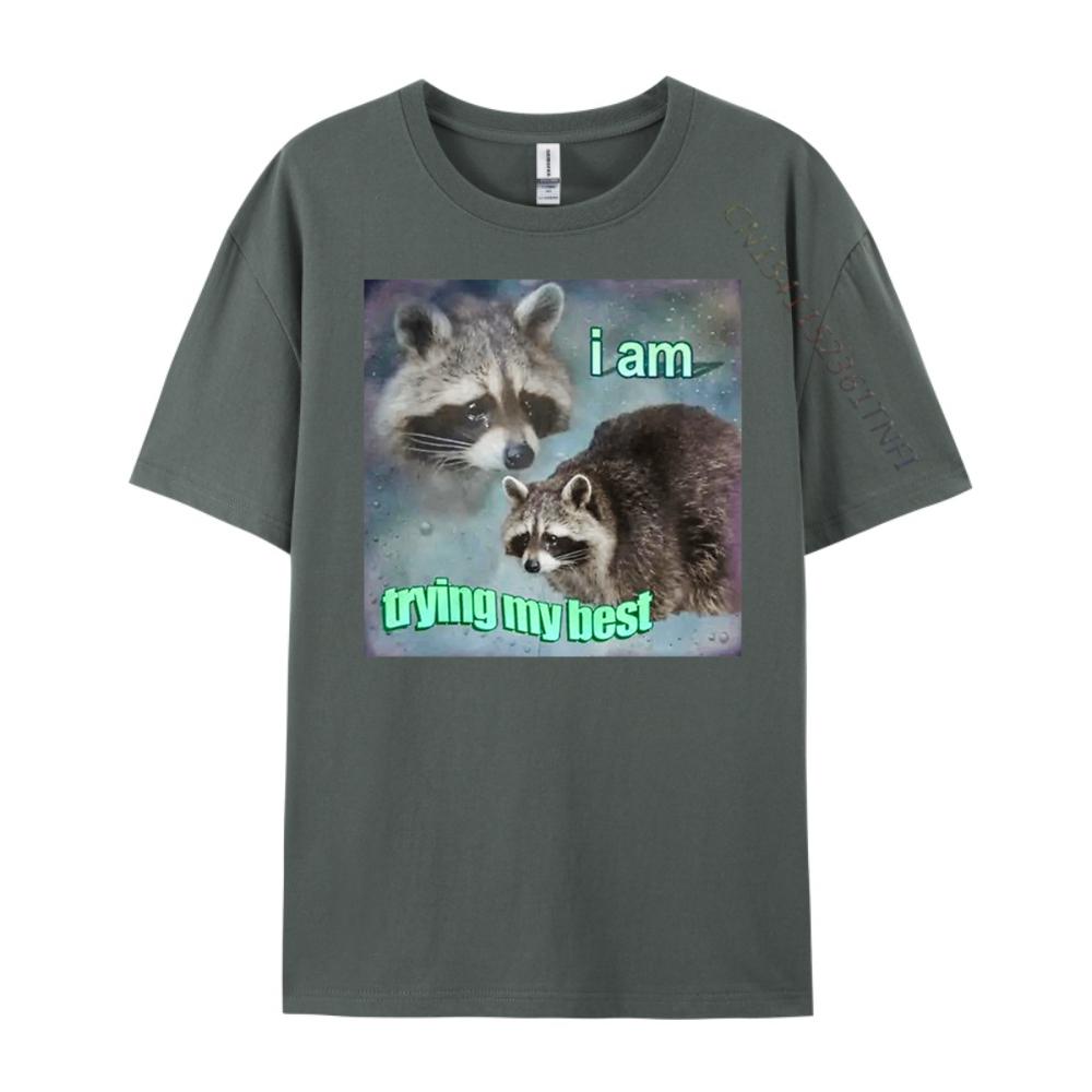 Raccoon I Am Trying My Best Sad Unisexs Korean Fashion Unisex Oversized T Shirt