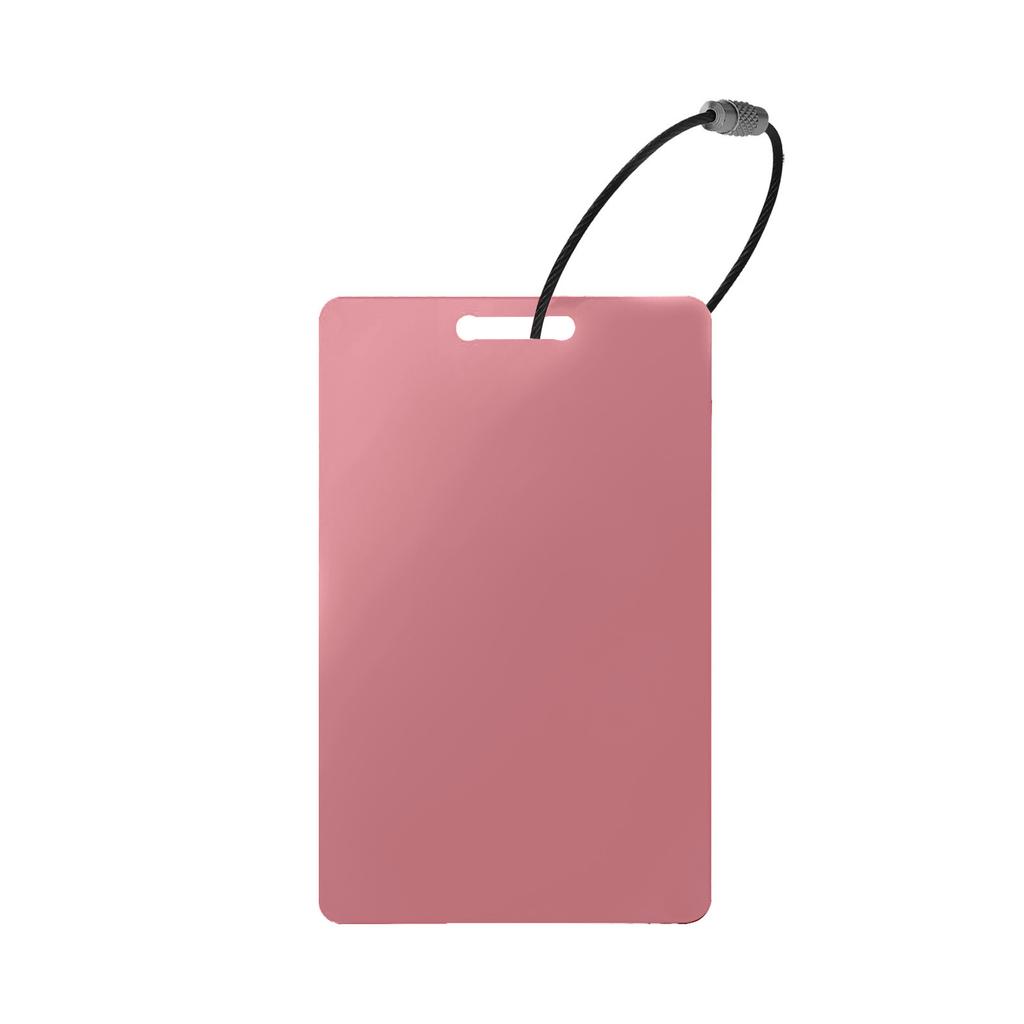 Luggage Identification Card Set Boarding Pass