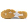 Li Ning CS16 Non-Slip Wear-Resistant Low-Top Badminton Shoes Unisex Shoes White Blue AYTS057-1