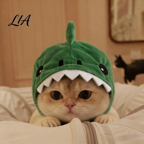 Breathable Pet Accessory for Photos Cute Dinosaur Hat Cats, Soft Plush Funny Cat Headwear with Shark Design, Novelty Green Costume 3D Fin And